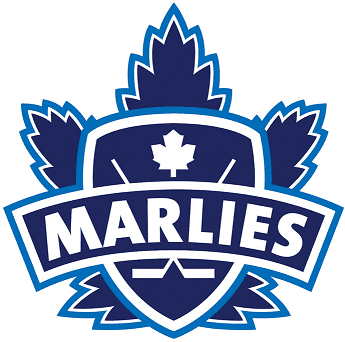 Toronto Marlies 2005 06-Pres Primary Logo iron on transfers for T-shirts